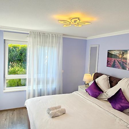 Charming Apartment With Garden, Free Parking Near Basel, Airport, Ger'Many, France, Saint-Louis  Dış mekan fotoğraf
